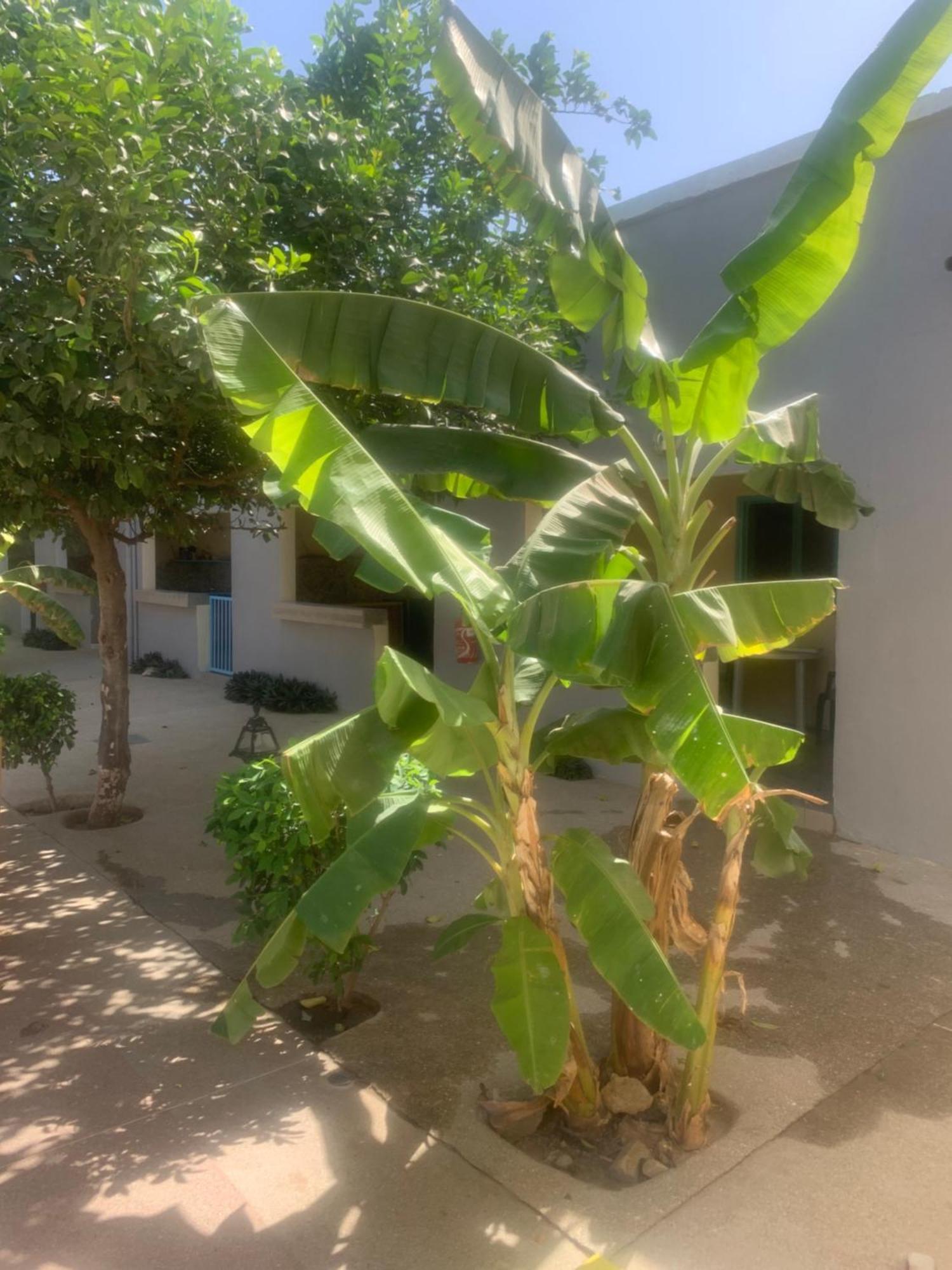 Auberge Keur Ely Ouoran المظهر الخارجي الصورة